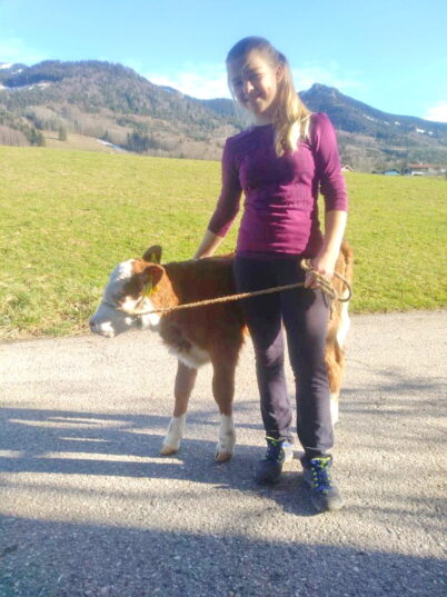 09846e82-ee93-4458-aea9-820aab953d16