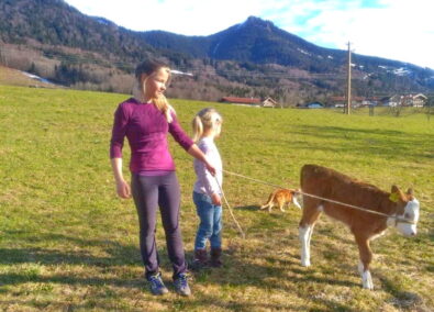 e1d9416c-e5da-437a-b987-e6083ea195b9