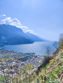 3ecb4dc5-e80d-4092-a4ff-f1ac0fc57ff8