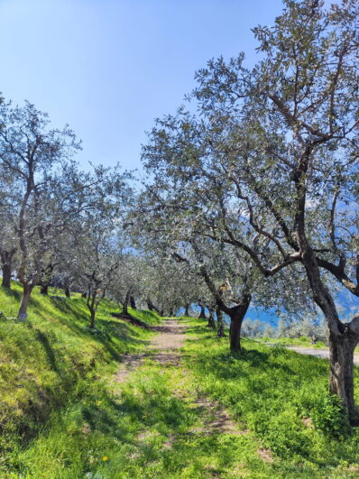 7c607f77-f6f7-4e6f-a0df-d9cd8ce89667