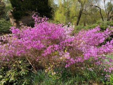 IMG-20230426-WA0063_resized