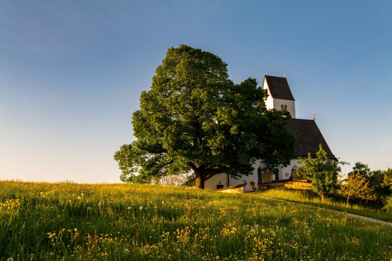Steinkirchen-1100185(1)