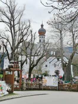 ca75f048-e368-45eb-b9ae-5f5fe68588c4