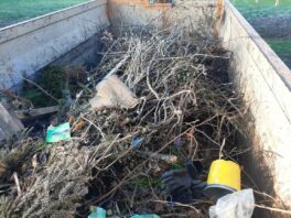 gruencontainer grainbach 1