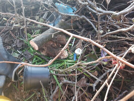 gruencontainer grainbach 2