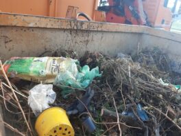 gruencontainer grainbach 3