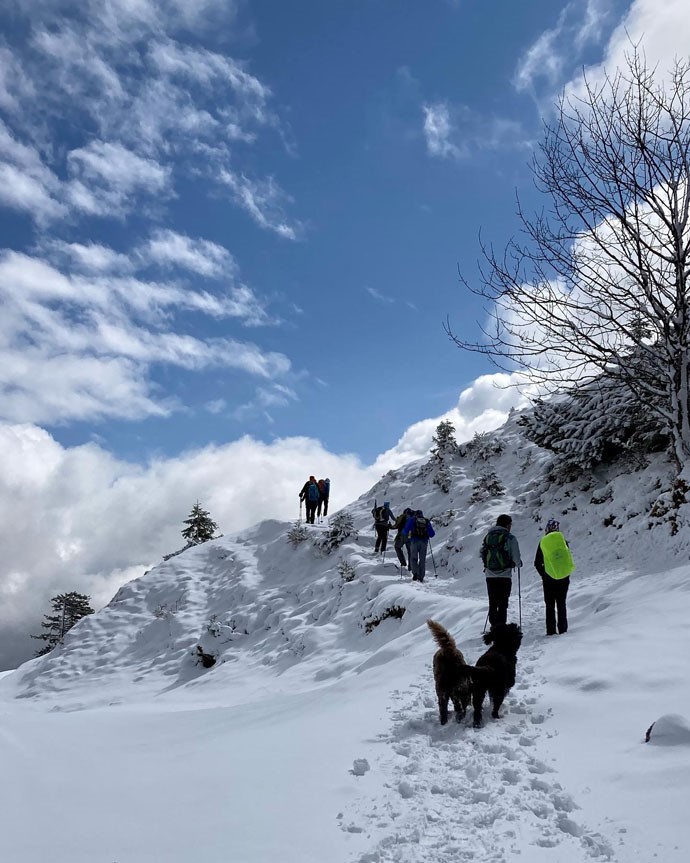 wasserhunde hochfelln 1