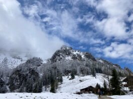 wasserhunde hochfelln 2