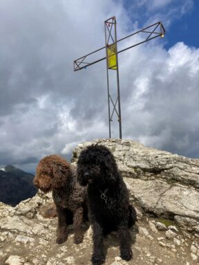 wasserhunde hochfelln 5