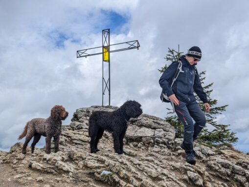 wasserhunde hochfelln 6