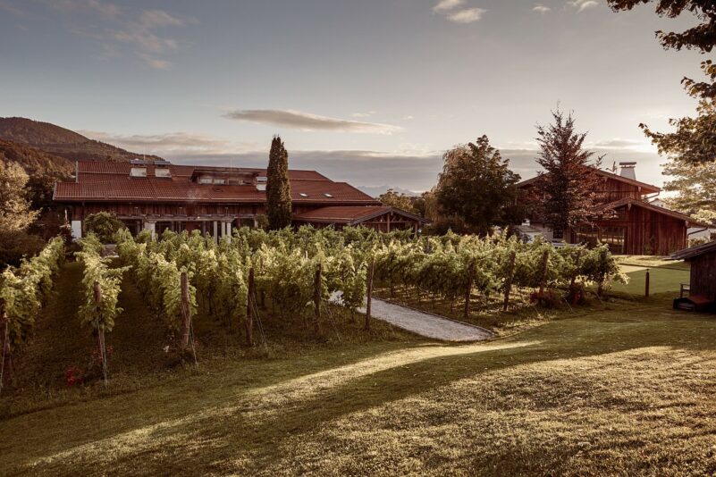 300_UNGER_WEINE_0807