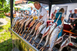 Dorffest-Grainbach-1240651