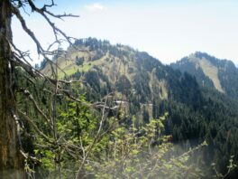 6-Almen-Wanderung am Samerberg