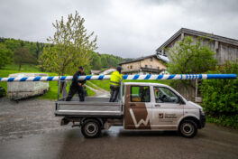 Maibaum-Bruessel-1110344