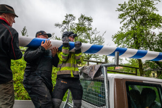 Maibaum-Bruessel-1110394