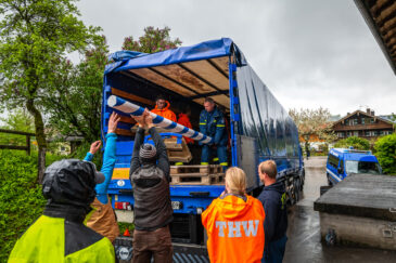 Maibaum-Bruessel-1110430