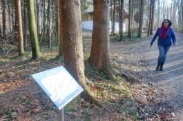 Mundartwerg Aschau (3)