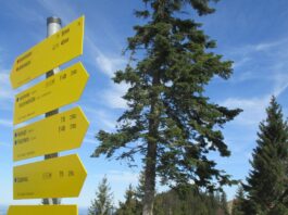 6-Almen-Wanderung am Samerberg