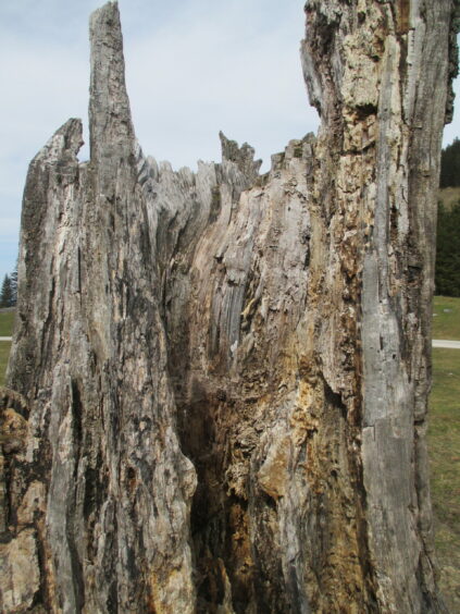 6-Almen-Wanderung am Samerberg