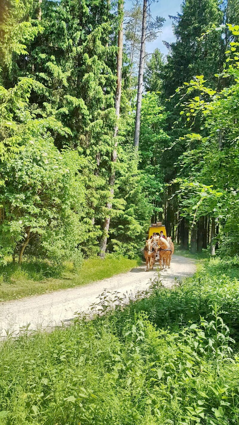 03fd47fb-9798-4e6a-bb35-0233d34e87ea