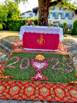 20230608_083630_resized