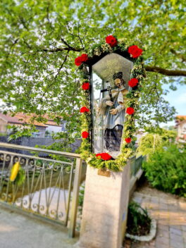 20230608_083712_resized