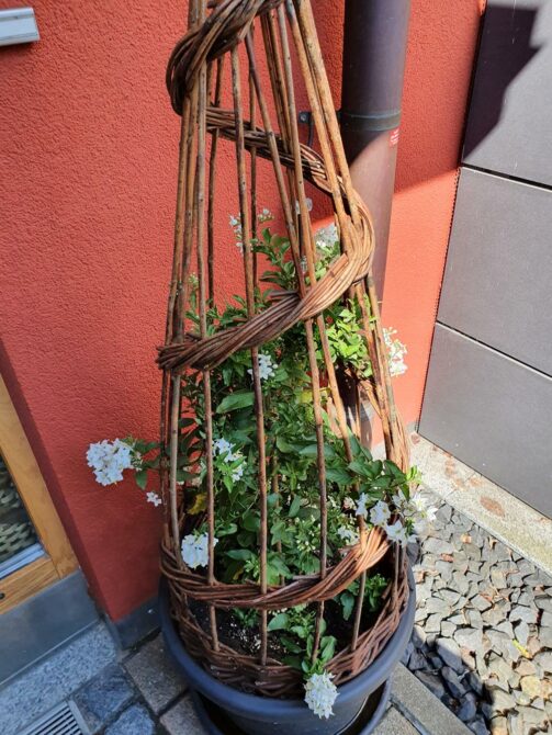 20230610_101116 (Copy)