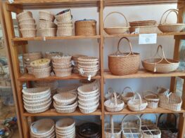 20230610_101238 (Copy)