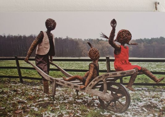 20230610_101547b (Copy)