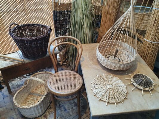 20230610_111130 (Copy)