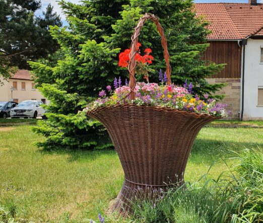 20230610_130232a (Copy)