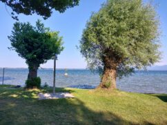 2246824c-fffd-4e8d-89c2-62a5260f3494