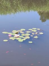 2bfe3972-b7eb-4050-8580-f465c3264ffd