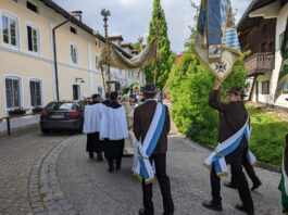 44b867bb-fc80-4140-a367-31135c73dddd