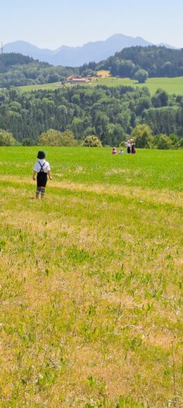 455bdb64-432c-45e6-8777-d548d551b6cf