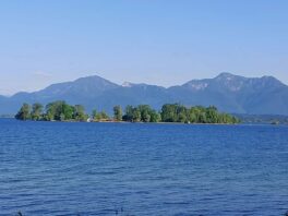 48e6b4e9-6fc9-4a63-af9d-28694e0d99cd