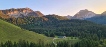 4feb8ba1-397f-44b2-abc9-1418ee1459e2