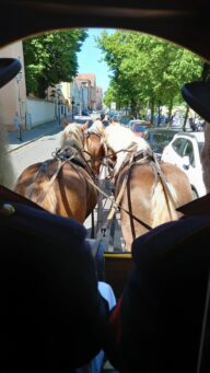 50525cbe-fa45-4239-8c66-03c7a8779b66