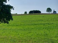 55877631-e552-42b9-9a50-dde1877d7631