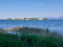 70c8fd49-416f-44f5-8cb0-aa3117009a8e