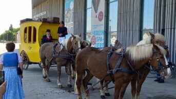 7fc5d0d7-e515-4864-9e20-38983759bee7