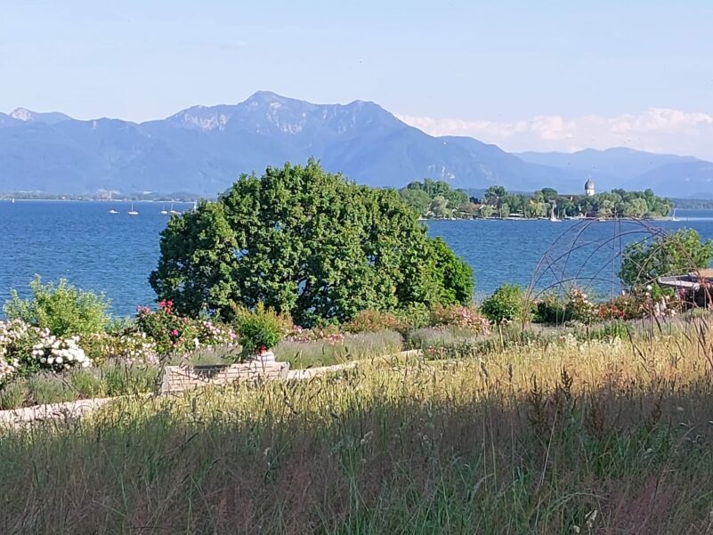 851fa352-d512-44a9-b6c5-df4e480bc061