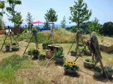 Blumenschau© Freyung 2023 gGmbH