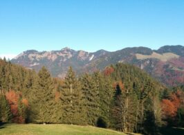 Gipeltouren und Almwanderungen im Achental
