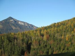 Gipeltouren und Almwanderungen im Achental