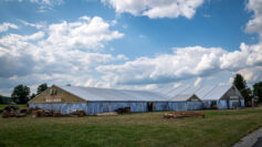 Immergruen-Pfaffenhofen-1370796