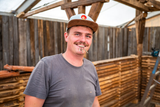 Immergruen-Pfaffenhofen-1370809