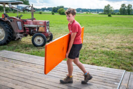 Immergruen-Pfaffenhofen-1370813