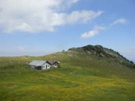Gipfeltouren und Almenwanderungen im Priental