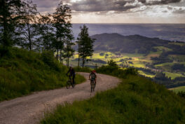 SamerbergerGams-1003708